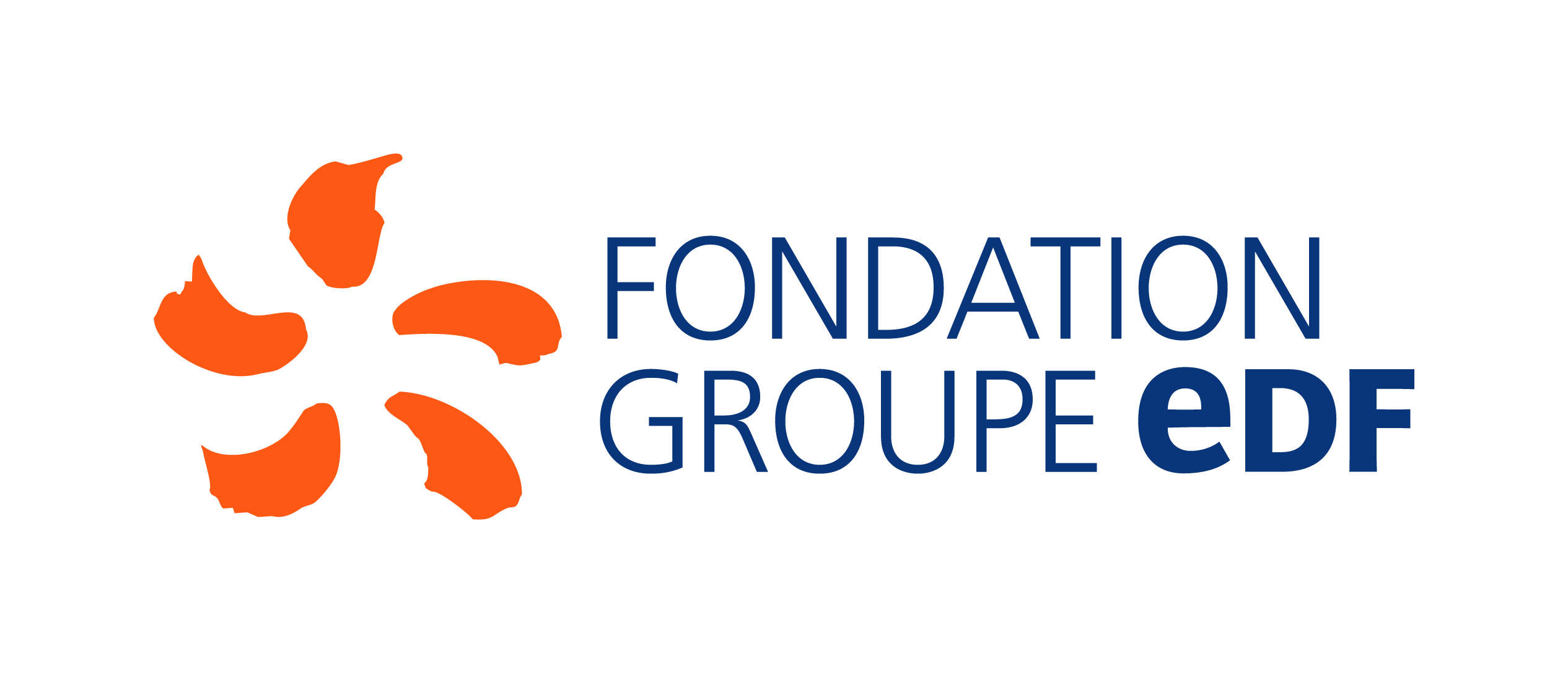 logo-fondation-groupe-edf-rvb.png